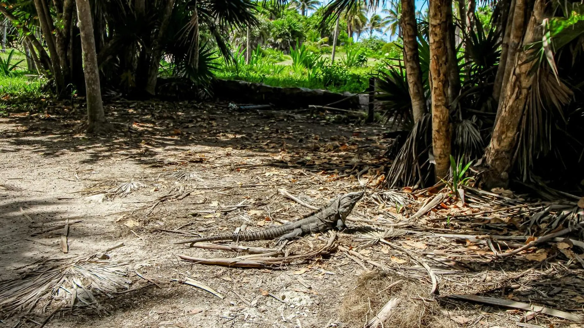 Apartament Tao Edena 69 Tulum 0*,  Meksyk