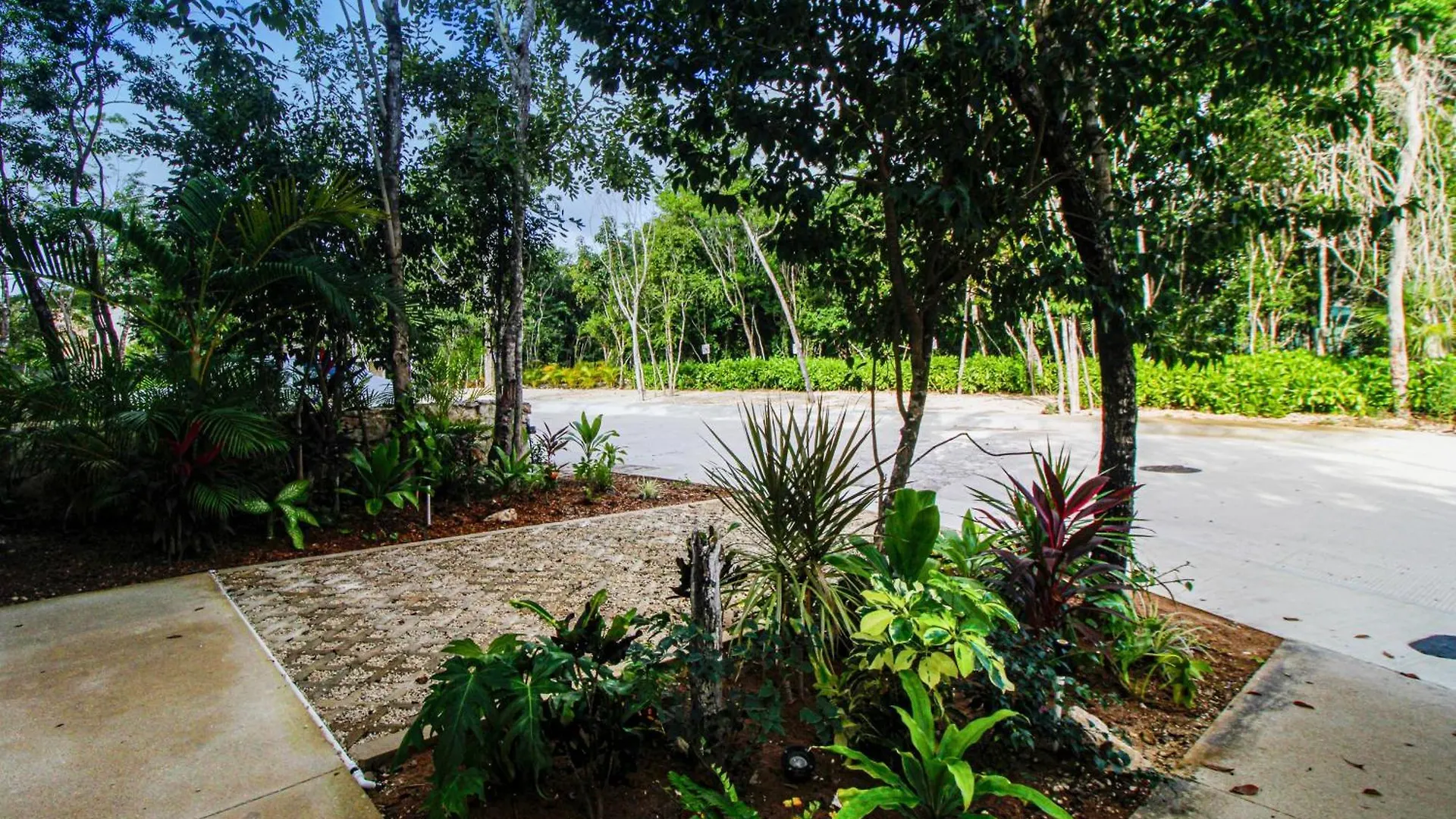 Apartament Tao Edena 69 Tulum 0*,
