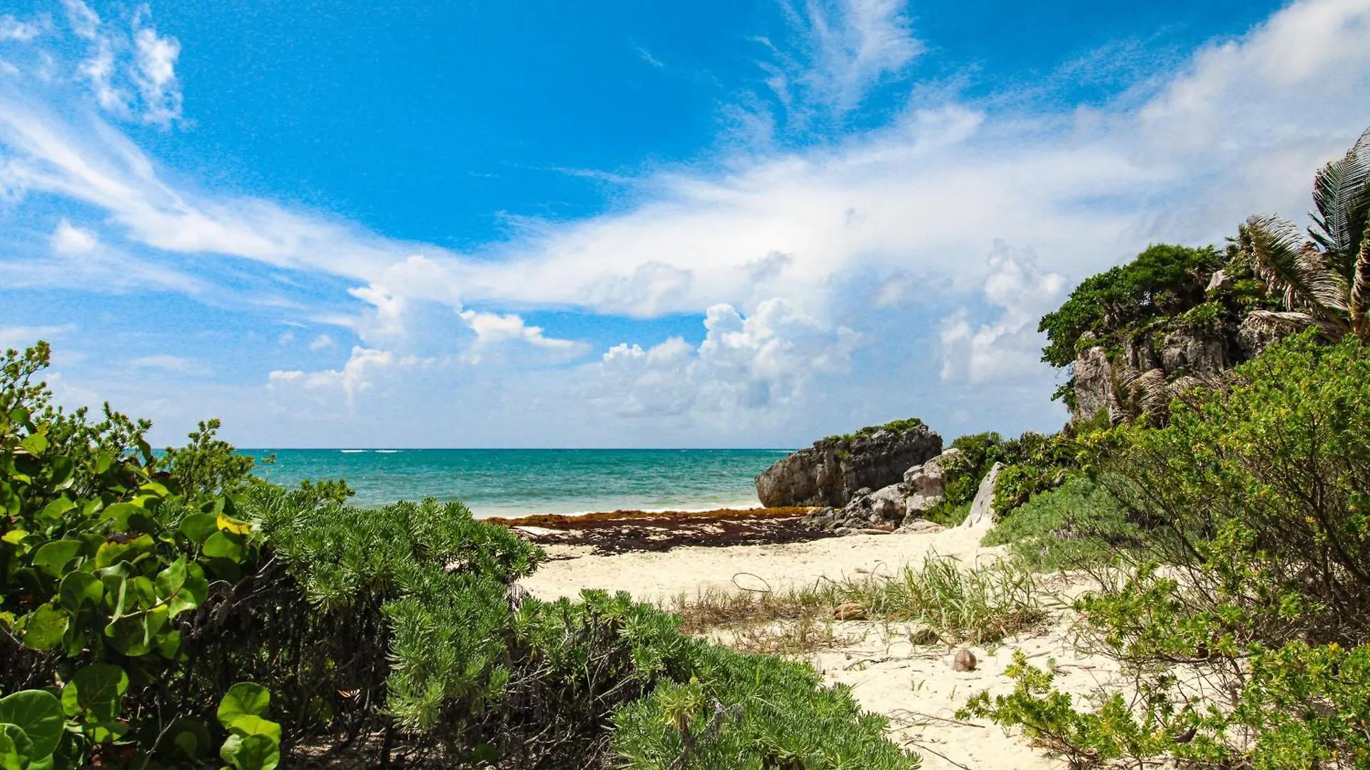 Apartament Tao Edena 69 Tulum Meksyk