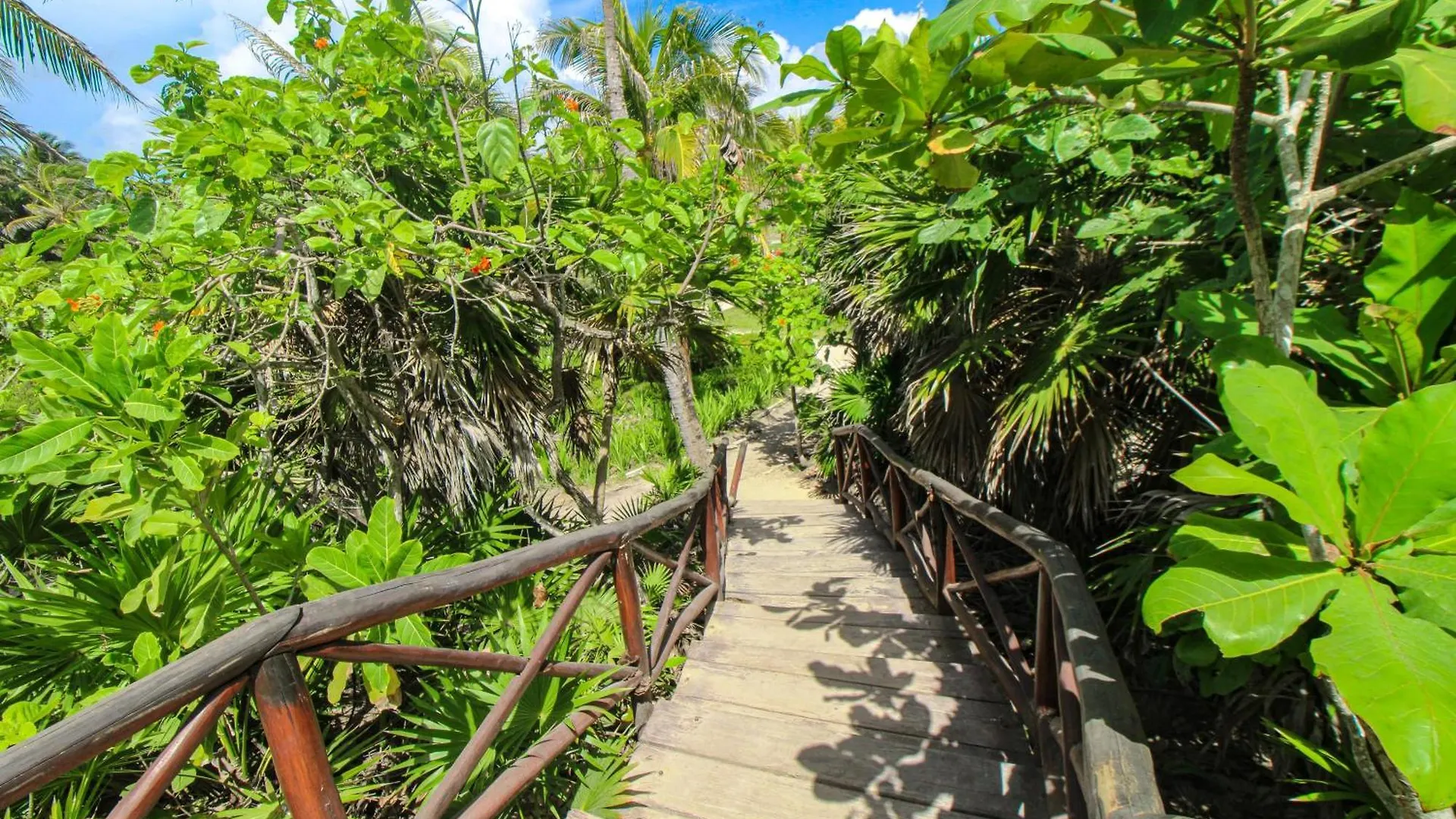 Apartament Tao Edena 69 Tulum